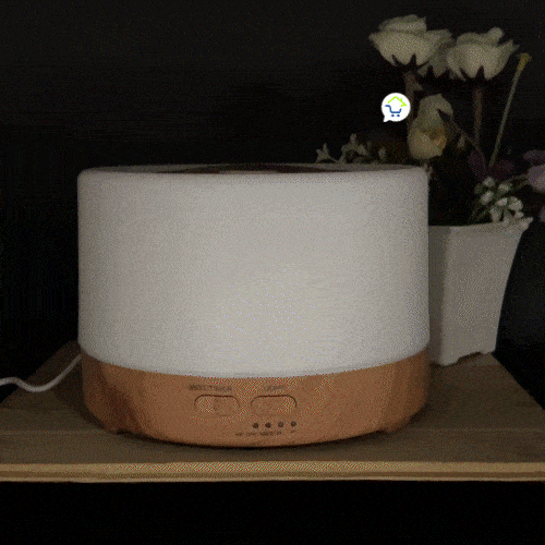 Humidificador Led Difusor Aromas Ft910