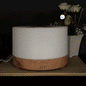 Humidificador Led Difusor Aromas Ft910