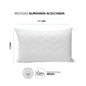 Set X 2 Almohadas Acolchadas 65x45cm