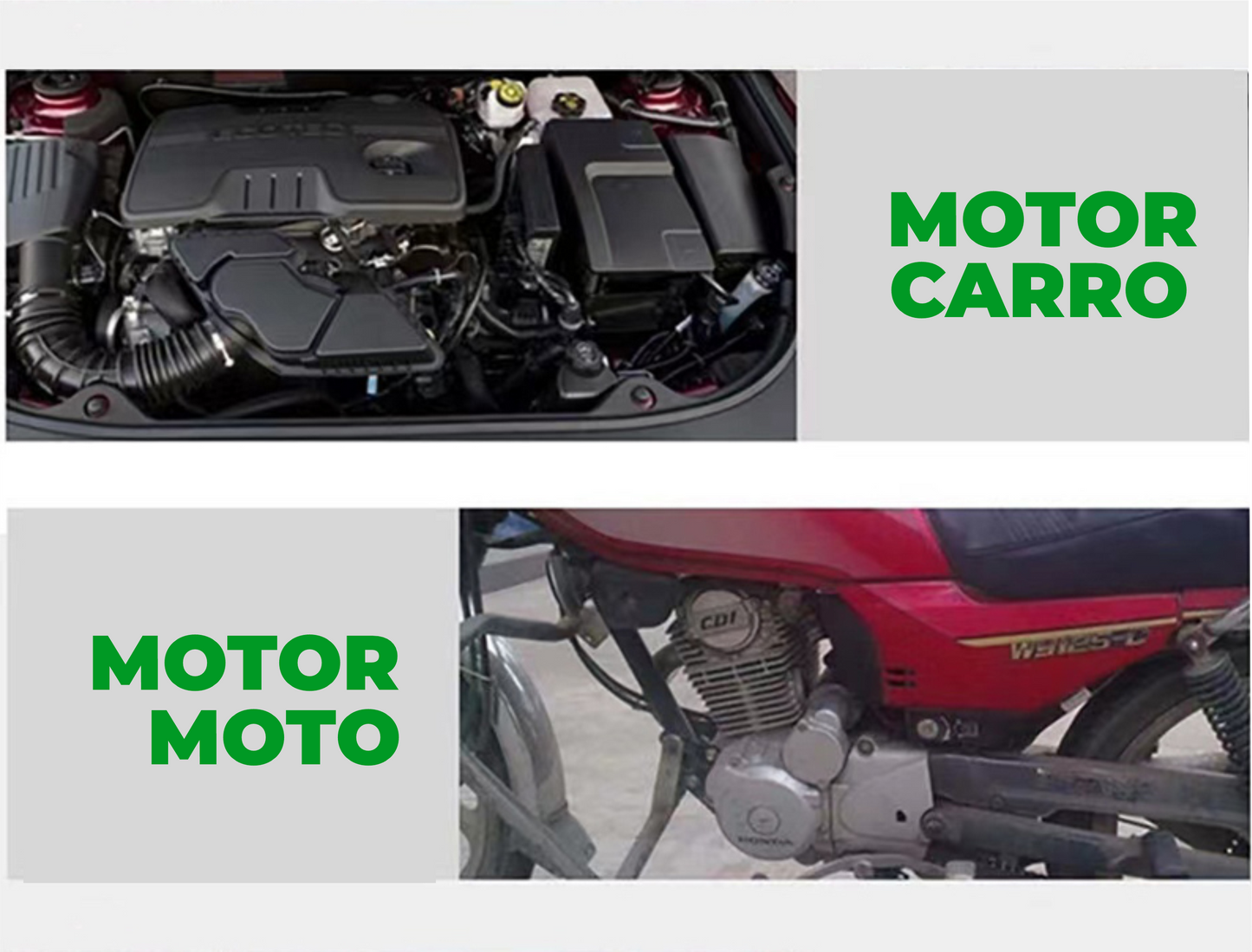 Motor Lavado En Seco